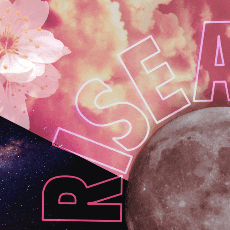 instagram-carousel_03