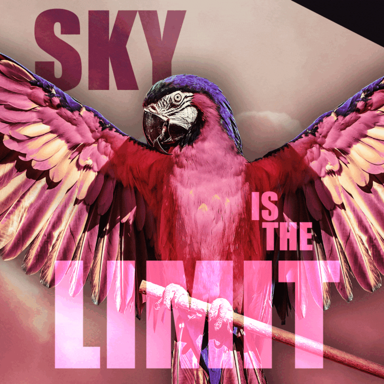 instagram-carousel_05